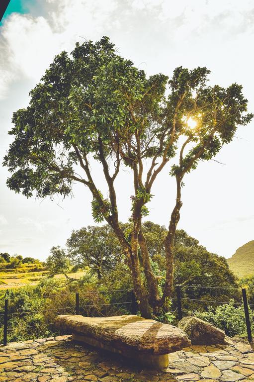 Mountain Villa Riverston Matale Exterior foto